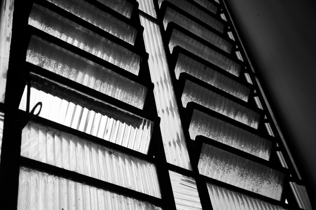 CENAEPERFORMANCE_MairaB05